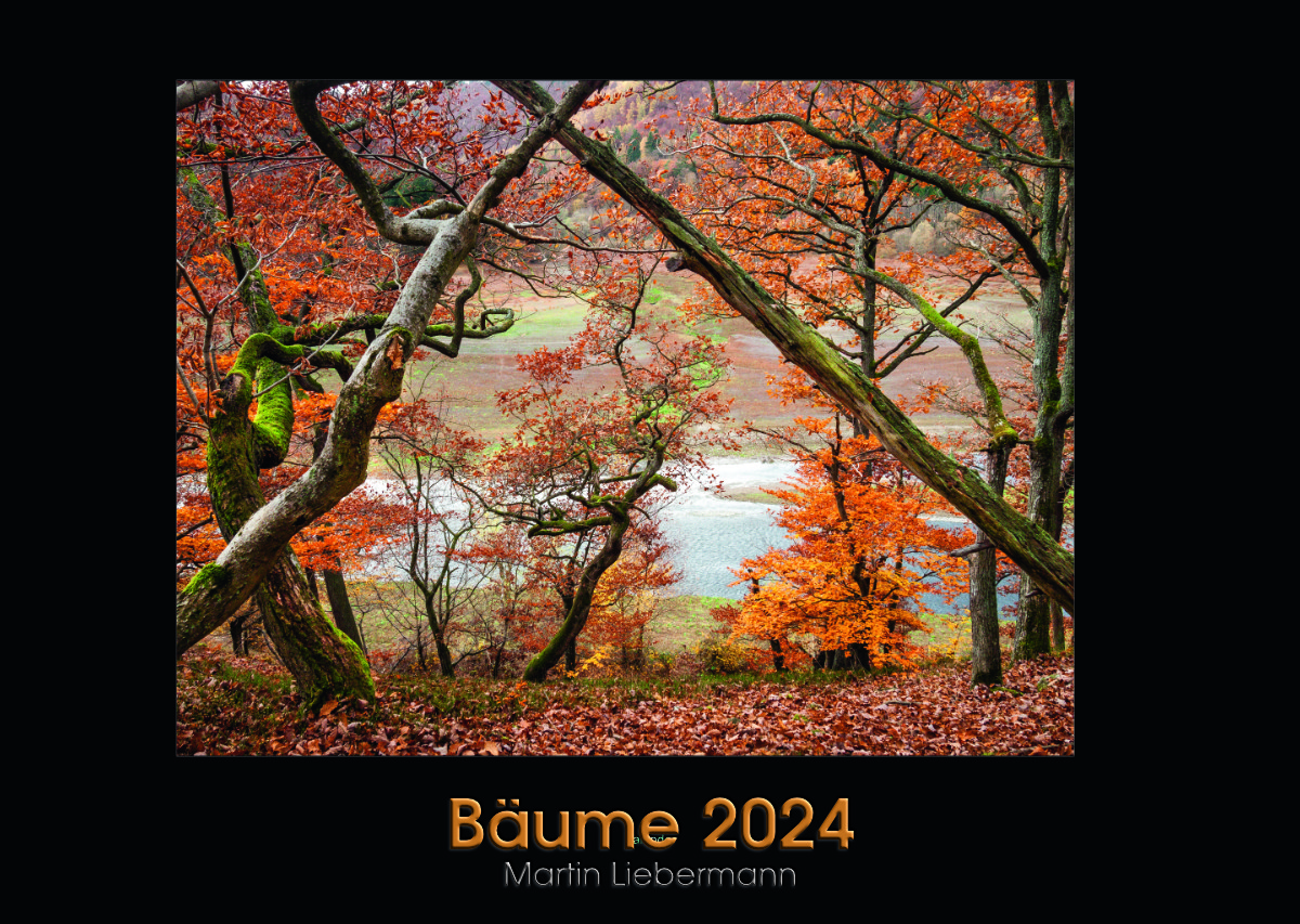 Kalender Bäume 2024