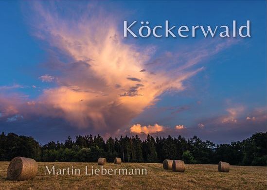 Köckerwald bei Bielefeld, Buchumschlag vorn