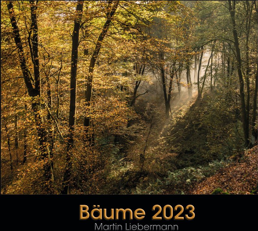 Kalender Bäume 2023